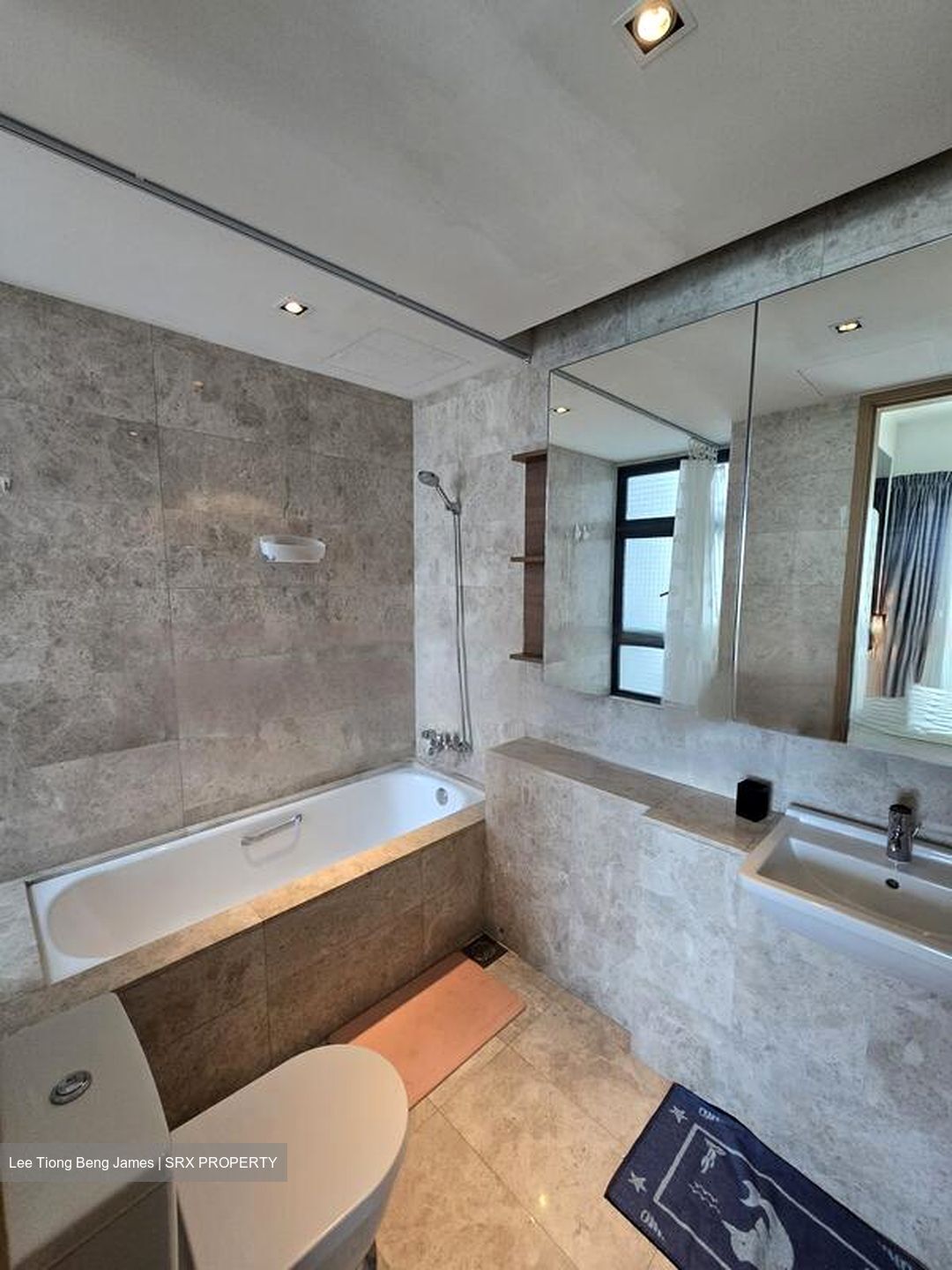 Soleil @ Sinaran (D11), Condominium #473454321